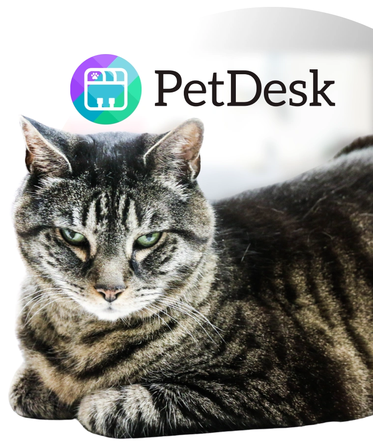 Download Our PetDesk App Today! Image
