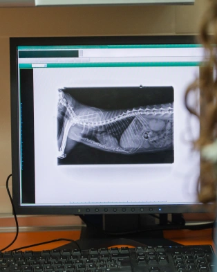 Diagnostic Care