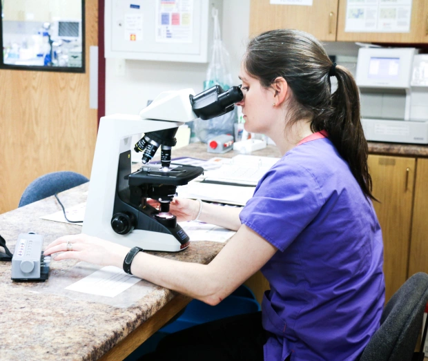 In-House Laboratory