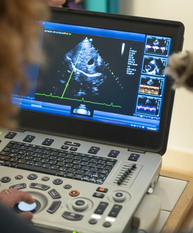 Pet Diagnostic Care