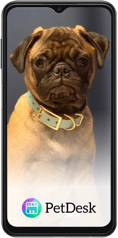 Our PetDesk App